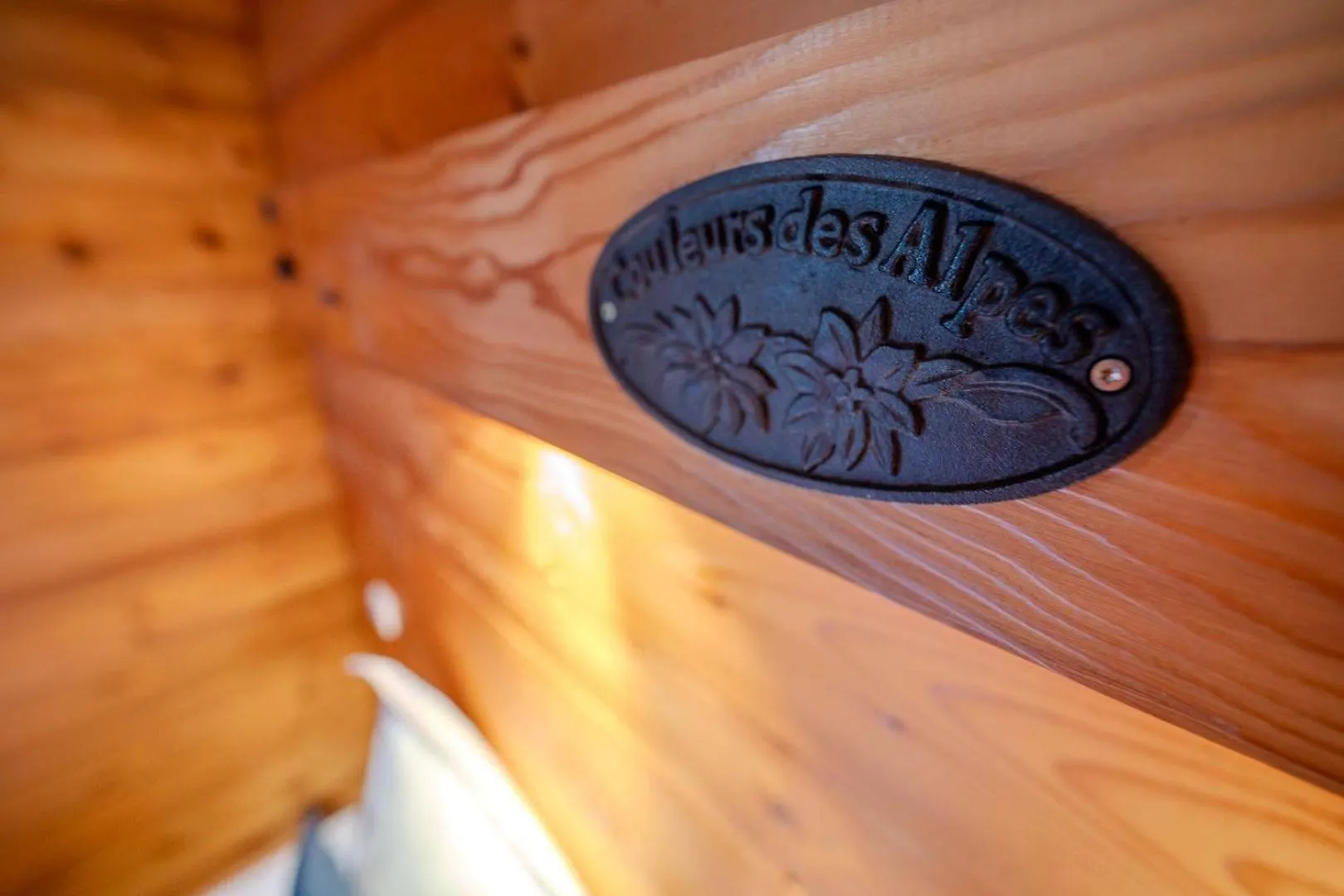 Hôtel du Centre Valloire Hotel